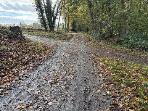 Nouveau changement de direction, nous tournons ici à gauche pour traverser la colline vers son coteau est.