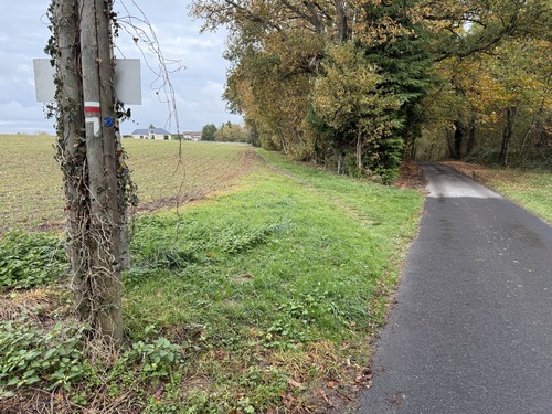 En arrivant près du coteau est, nous rejoignons les GR23 et 224, que nous allons suivre maintenant jusqu'au retour.