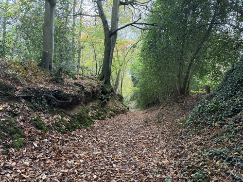 Nous descendons le coteau est (Côte de la Brulette), sur le chemin de la Brulette (GR23 et 224).