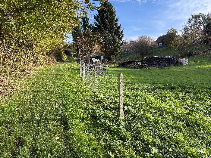 Nous distinguons déjà les premières maisons de Blacarville.