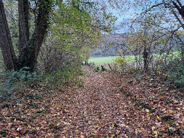 La traversée de Campigny est un peu monotone, mais débouche dans le bois des Bruyères de Mémont sur le chemin de la Motte.