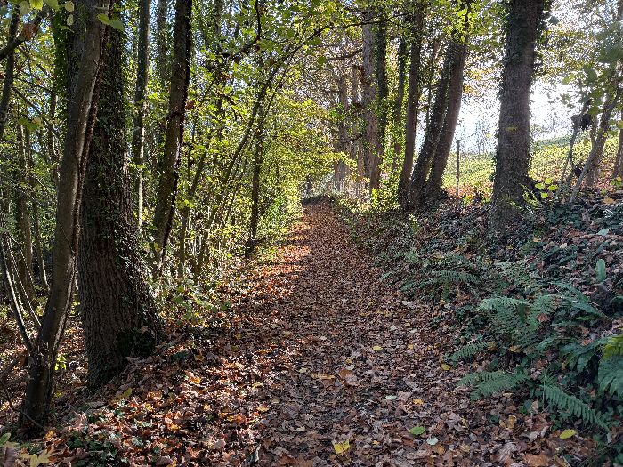 Chemin du Milieu à Saint-Paul-sur-Risle.&nbsp;