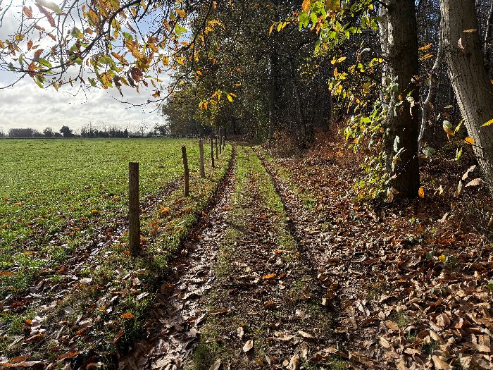 Au sommet, le chemin quitte le bois des Bruyères de Monteney pour s'ouvrir sur la plaine agricole du plateau.