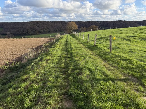 Nous sortons du quartier du Lycée par la rue Paul Verlaine qui devient Chemin des Bois après la dernière maison. Ici, nous avons tourné vers l'est pour descendre vers Gonzeville.