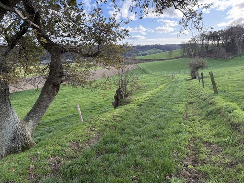Très agréable descente vers la vallée de la Gonzeville.