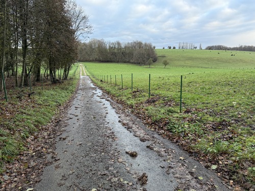 Nous sortons du village par le Chemin de la Côte qui devient rapidement un vrai chemin.