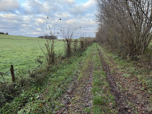 Au carrefour de chemins, nous prenons vers le nord-est en direction du Mouchel.