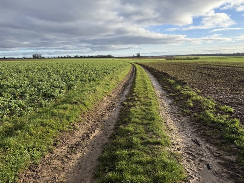 Nous avons traversé la D13 et continuons sur les chemins. Ce chemin est bien représentatif de ce circuit constitué de nombreux chemins agricoles, labourés par les roues de tracteurs de chaque côté et préservés en leur centre, au grand plaisir des marcheurs.