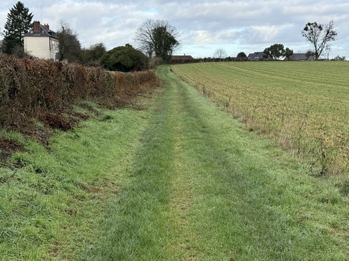 Nous entrons dans Auzouville par le sud.