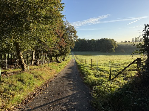 Nous sortons du village par le Chemin de la Côte qui devient rapidement un vrai chemin.