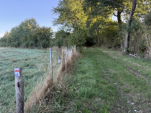 Au carrefour de chemins, nous prenons vers le nord-est en direction du Mouchel (GR25).