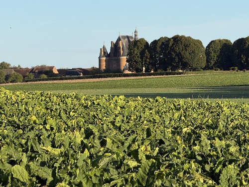 Au loin, on peut admirer le château de Martainville (zoom)