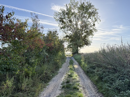 Nous allons traverser la rue du Vaussier.