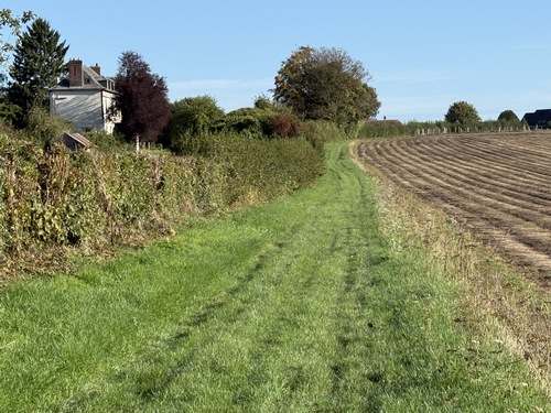 Nous entrons dans Auzouville par le sud.