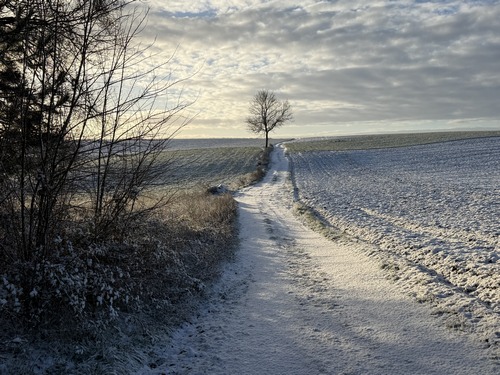Nous sortons du bois sur le plateau de Flipou, et allons bientôt tourner à droite pour traverser la plaine agricole et rejoindre le bois de la Côte des Deux Amants.