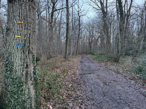 Nous rejoignons rapidement les balises jaunes du circuit officiel, ainsi que les balises jaunes et rouges du GRP des Coteaux de l'Eure.
