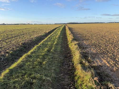 Nous sortons de La Chapelle pour traverser la plaine agricole en direction de Carcouet. Le circuit officiel, lui, descend vers St-Germain-des-Angles. La plaine agricole n'est pas à son apogée en hiver, mais les chemins sont impeccables.