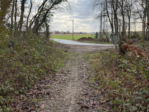 Nous sortons du bois, et entrons dans Verdun.