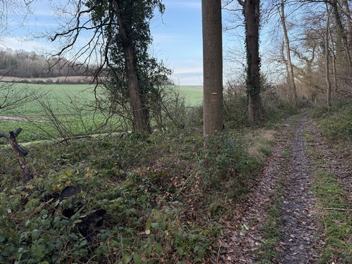 J'ai rejoint le GR224 qui suit la lisière nord le long de la Petite Vallée.&nbsp;