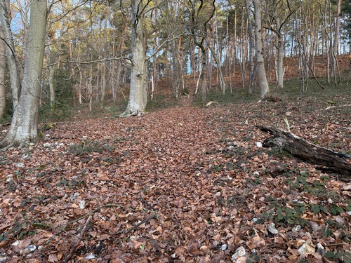 Je décide de couper ici par cette montée très raide. Pour l'éviter, il suffit de rester sur le GR224 qui, lui, monte en pente douce.