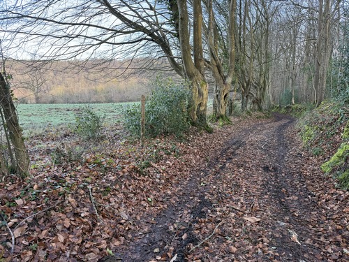 A la sortie du hameau, le chemin descend dans la forêt. Depuis les Crottes, je marche en suivant le balisage jaune du circuit Saint-Vincent.