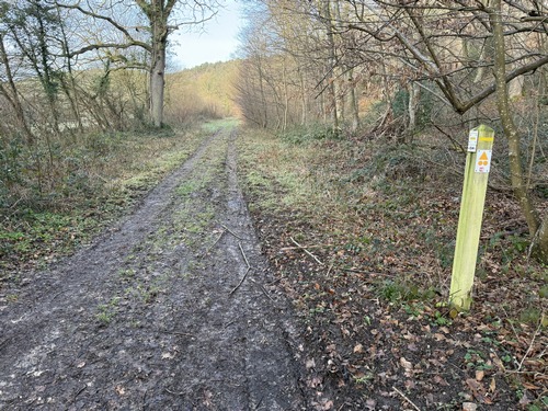 Après le pont ferroviaire je tourne à gauche, vers l'ouest, toujours en suivant les balises jaunes.