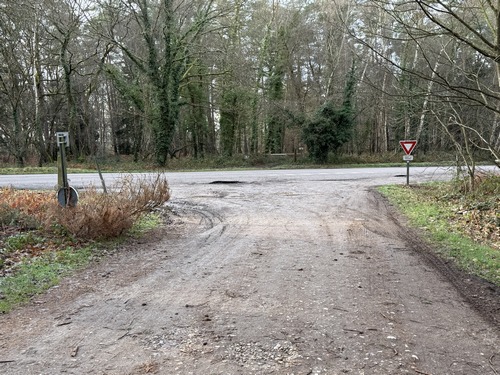 Je vais traverser la D124 et continuer en face.