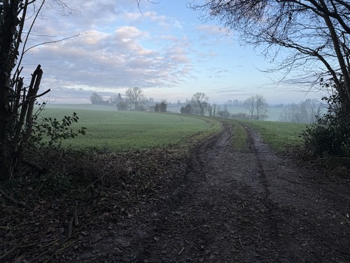 Nous sortons du bois de Montagny, le chemin s'appelle désormais le chemin des Buissons, ce qui est la traduction de Hallotière (cf Wikipedia).