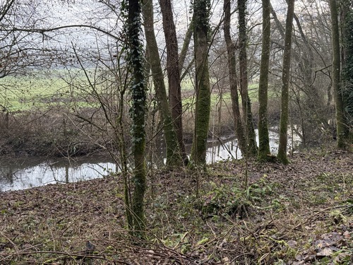 Nous avons rejoint l'Andelle, nous allons la suivre sur l'agréable chemin aménagé sur l'ancienne ligne Charleval-Serqueux (Une ancienne voie ferrée non goudronnée ! Le bonheur !).