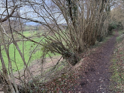 Le Chemin de la Fontaineresse est désormais plus sauvage. En cette saison, on peut distinguer la Lieure derrière les arbres.