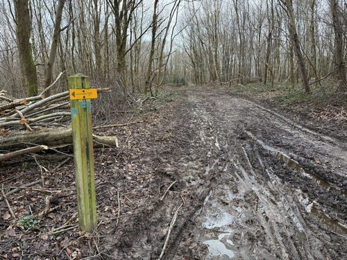 Au sommet, le poteau indique de tourner, mais je continue sur l'ancien itinéraire de ce circuit.