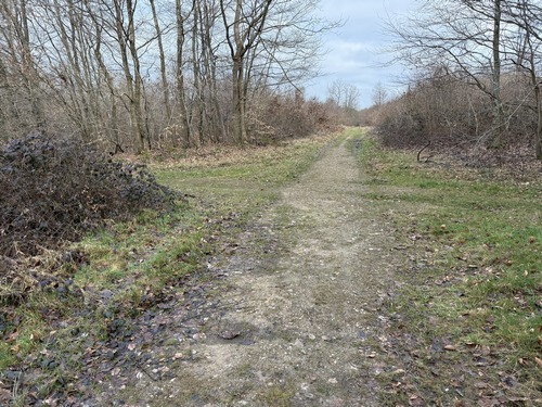 Au carrefour de chemins je prends à gauche la direction de la Villenaise.