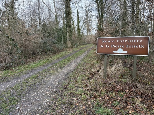 Au lieu-dit La Villenaise, je prends la route forestière de la Pierre Fortelle. De temps en temps on distingue des traces du balisage bleu de l'ancien itinéraire.