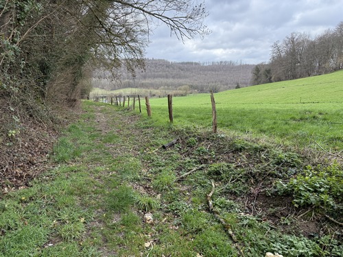 Descente vers la vallée de la Lieure.