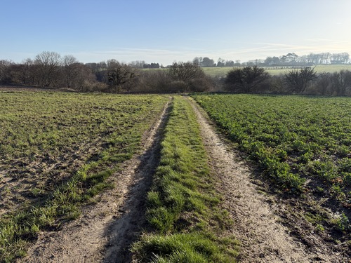 Le chemin se dirige droit vers la valleuse des Waguans.