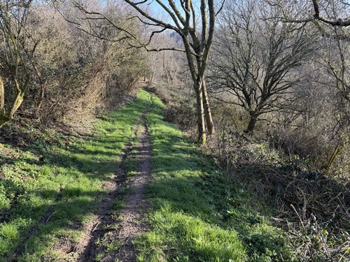 Comme de nombreuses valleuses de la côte d'Albâtre, cette valleuse est boisée. Nous sommes dans une ambiance totalement différente.