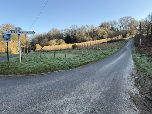 Nous rejoignons la rue de la mer qui monte vers le bourg d'Ecretteville-sur-Mer.