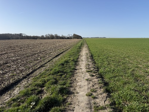 GR21 entre St-Pierre-en-Port et Eletot. Près d'Eletot, on peut remarquer le revêtement en ciment. Vous marchez sur ce qui aurait dû être un aérodrome allemand de la seconde guerre mondiale. Construit mais jamais utilisé.