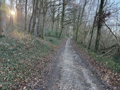 Montée dans le Bois de la Vergne. Ce chemin est la frontière entre la Seine-Maritime et l'Oise.