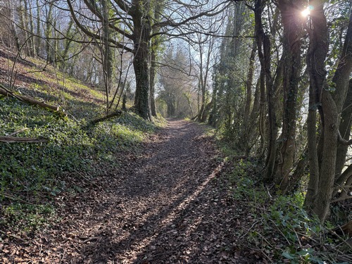 Le chemin longe la plaine du Gailly au pied de la Côte des Essarts. C'est un délicieux chemin avec des passages boisés comme ici, mais surtout avec un bel aperçu de la vallée du Cailly.