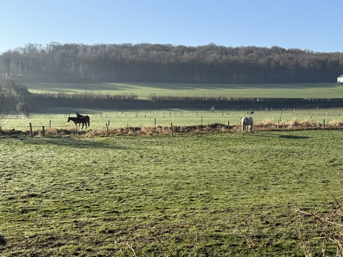 La douce vallée du Cailly, dans sa version campagnarde, vue depuis le chemin de la Côte des Essarts.