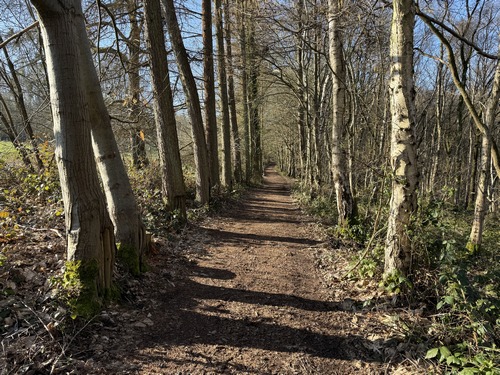 Allée dans le bois de Fécamp.