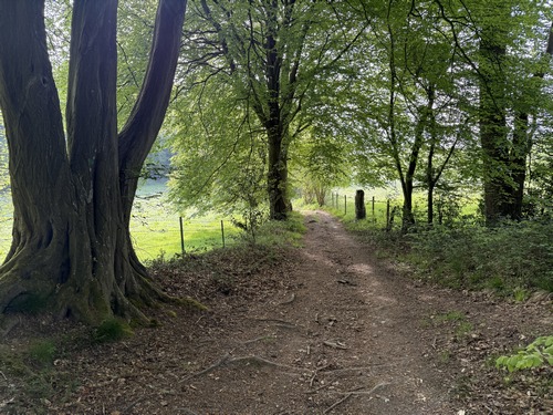 Le circuit quitte le GR25C pour tourner vers l'est dans le Fond de Bray.