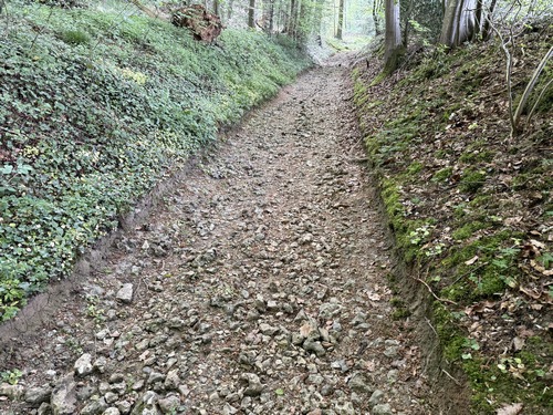 Passage très caillouteux dans le Fond de Bray, les chaussures à tiges hautes sont recommandées.
