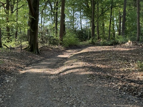 Après la Clérette, nous avons rejoint le délicieux Chemin des Fontaines qui relie Mont-Cauvaire à Montville (GR210).