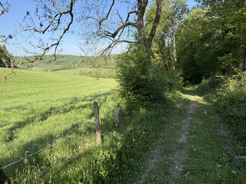 Point de vue sur la vallée de la Clérette depuis le chemin du Val au Roy