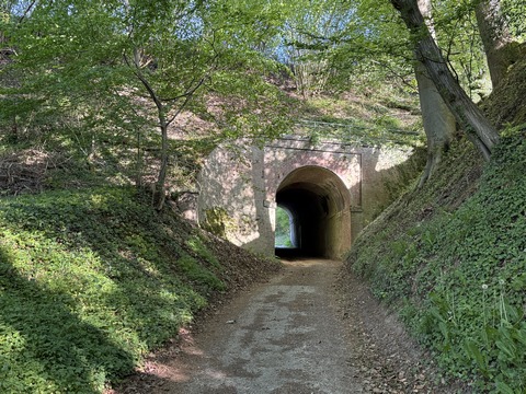 Nous quittons la D155 et repassons sous la ligne Rouen-Dieppe pour retrouver les chemins et monter vers Anceaumeville.