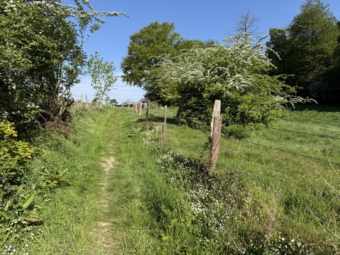 La montée est très agréable, elle alterne sous bois et pâtures.