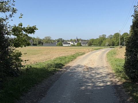 Aux premières maisons le chemin devient une petite route. On voit déjà la flèche de l'église d'Anceaumeville.