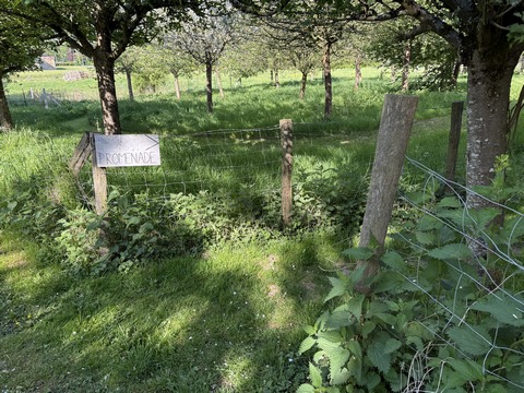 Nous ne résistons pas au plaisir de suivre les panneaux "promenade" à l'entrée d'Anceaumeville.